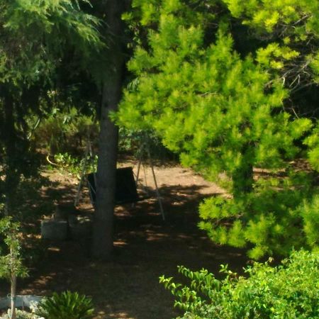 Paestum House Bed and Breakfast Esterno foto