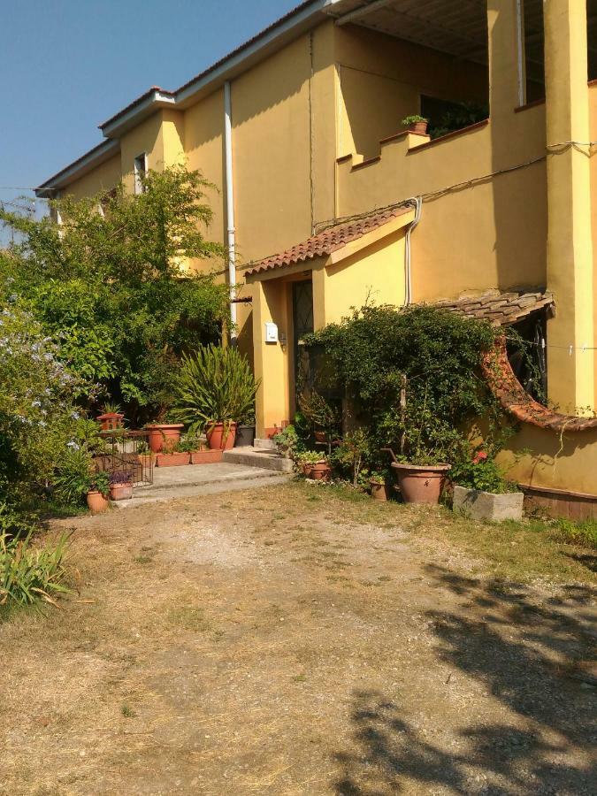 Paestum House Bed and Breakfast Esterno foto